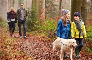 Escursioni con il cane