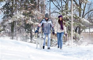 Winterwanderung mit Hund zur Fanes Alm