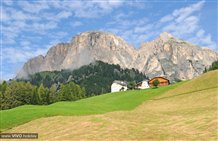 Bauernhof in Kolfuschg im Gadertal