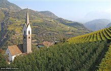 Blick auf die Pfarrkirche in Karneid im Eggental