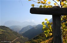 Paesaggio naturale nella località turistica di Collepietra in Alto Adige