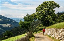 Sentiero delle castagne a Velturno in Valle Isarco - Alta Valle Isarco