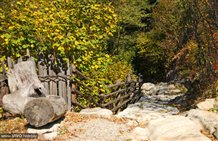 Sentiero nella località di villeggiatura Fortezza