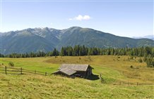 Rodenecker Alm in Südtirol