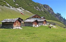 Alm in Prags in der Urlaubsregion Hochpustertal