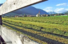 Ortschaft Rasen im Sommer