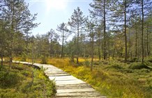 Rasner Biotop „Rasner Möser“ in Südtirol