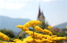 Località di villeggiatura San Lorenzo d'estate