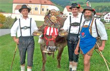 Ritorno dall'alpeggio in autunno a Terento