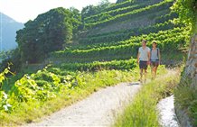 Sentiero della roggia di Lagundo nei dintorni di Merano