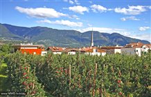 Lagundo nell'area vacanze di Merano e dintorni