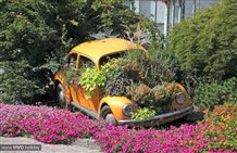 Burgstall im Meraner Land