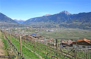 Blick über Marling in der Ferienregion Meraner Land