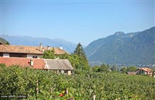 Naturlandschaft in Nals in der Urlaubsregion Meraner Land