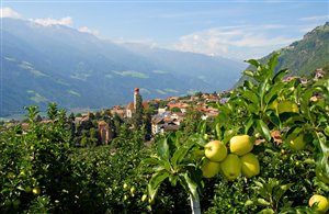 Parcines nell'area vacanze di Merano e dintorni  