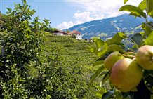 Vista su Rifiano nell'area vacanze Val Passiria