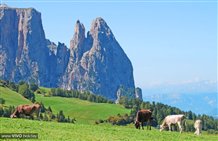 Seiser Alm bei Kastelruth in Südtirol