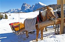 Alpe di Siusi in Alto Adige