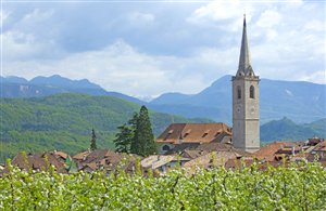 Ferienort Kaltern an der Südtiroler Weinstraße