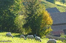 Collalbo sull'altopiano del Renon in Alto Adige