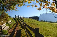 Sentiero a Collalbo sul Renon
