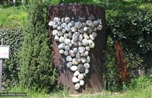 Weinlehrpfad in Kurtatsch im Süden Südtirols