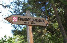Freudpromenade im Urlaubsort Oberbozen