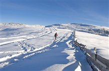 Skitouren im Sarntal in der Ferienregion Südtirols Süden