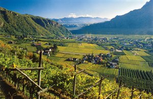 Vista su Terlano nell'area vacanze della Bassa Atesina