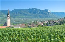 Urlaubsgemeinde Tramin an der Südtiroler Weinstraße