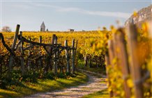 Traminer Weinberge im Herbst 