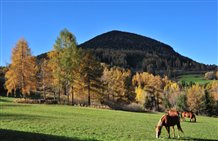 Località vacanziera di Trodena in autunno