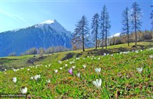 Paesaggio naturale nell'area feriale di Proves