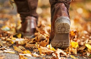 Ulten-Alsack bei Mals - Wandern