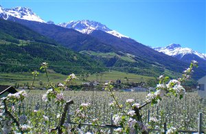 Göflan bei Schlanders