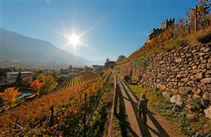 Monte Mezzodì presso Silandro