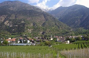 Vezzano presso Silandro in Val Venosta
