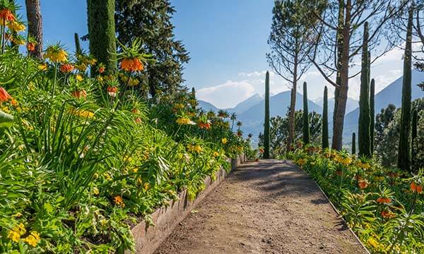 I posti più belli in primavera in Alto Adige