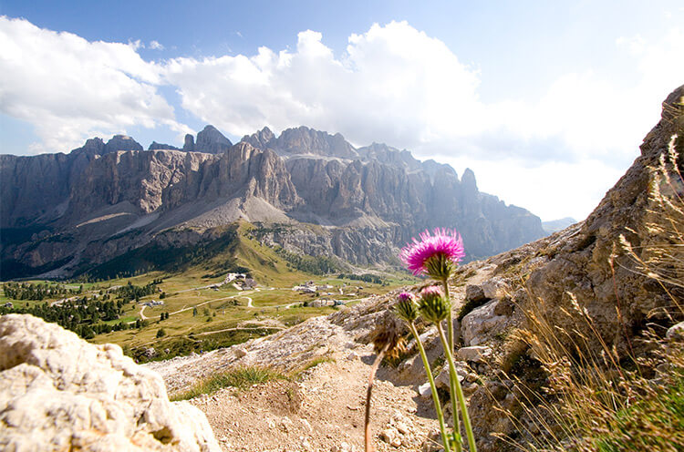 Val Gardena