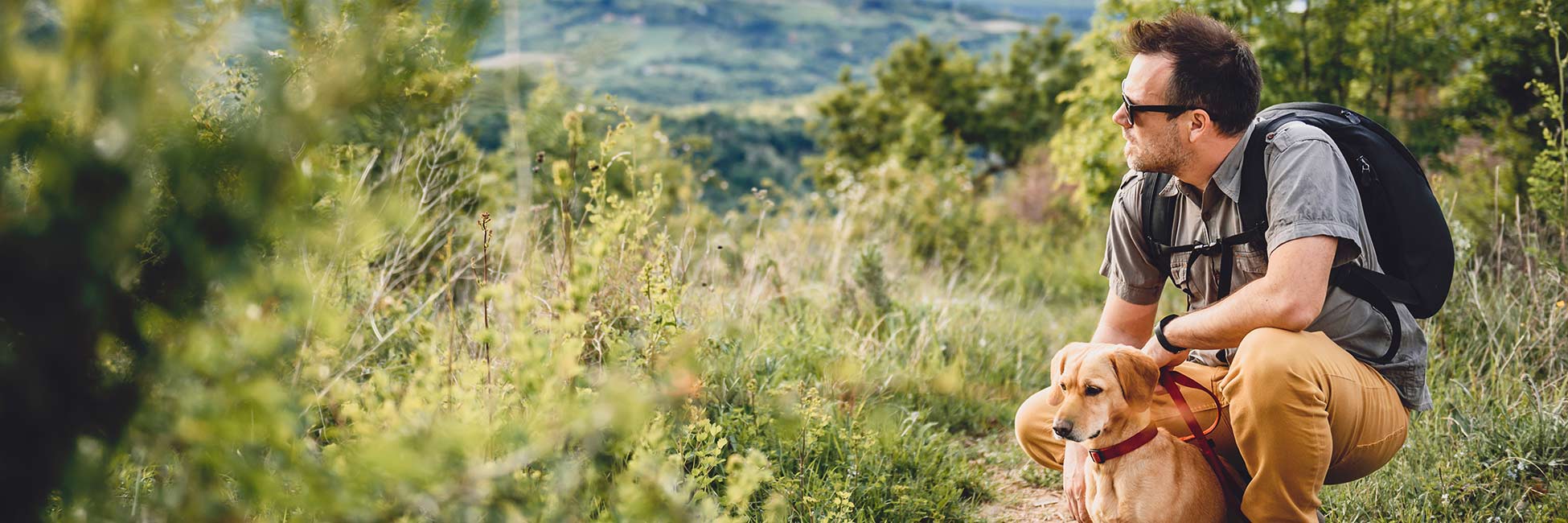 Escursioni con il cane in Alto Adige